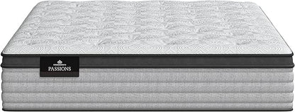 Kingsdown Passions Imagination Pillow Top Mattress, Queen, Extra Plush, Fabric, Multi-color