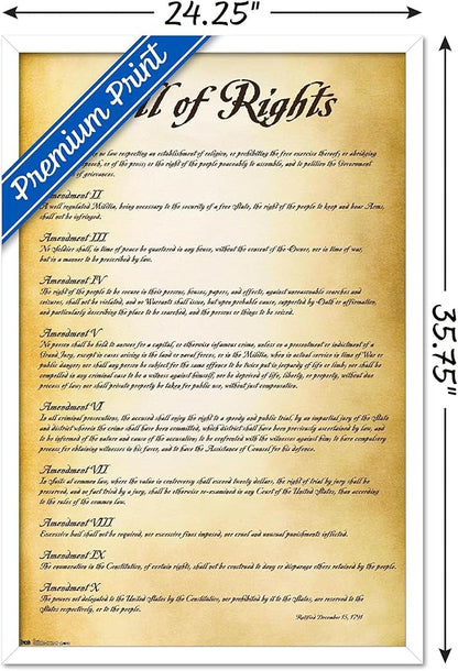 Trends International The United States of America - Bill of Rights Wall Poster, 22.375" x 34", White Framed Version