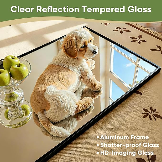 Full Length Mirror, 81"x41" Full Body Mirror, Floor Mirrors with Stand, Body Mirrors Standing Hanging Leaning Against Wall,Aluminum Frame Mirrors for Bedroom Cloakroom,Living Room,Black