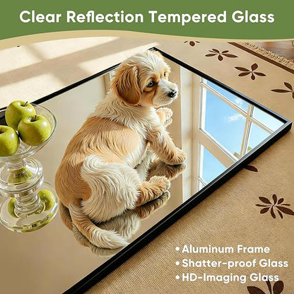Full Length Mirror, 81"x41" Full Body Mirror, Floor Mirrors with Stand, Body Mirrors Standing Hanging Leaning Against Wall,Aluminum Frame Mirrors for Bedroom Cloakroom,Living Room,Black