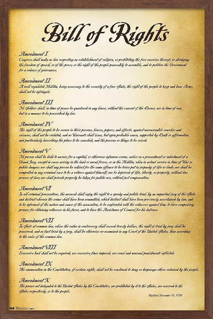 Trends International The United States of America - Bill of Rights Wall Poster, 22.375" x 34", Mahogany Framed Version