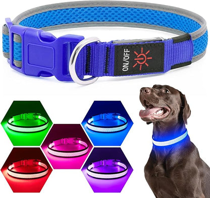 Flashseen LED Dog Collar, Light Up Dog Collar USB Rechargeable, Brightest Dog Lights for Night Walking, Adjustable Dog Collar Light for Dog Safety(Medium, Royal Blue)