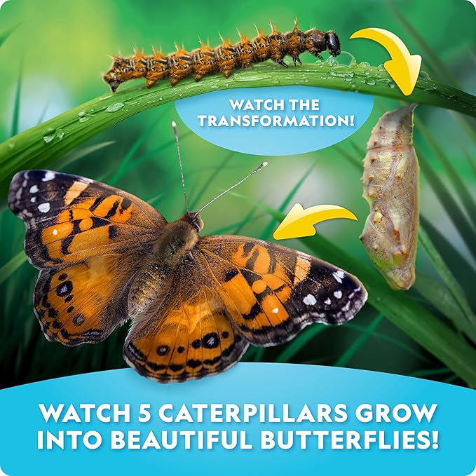 National Geographic Ultimate Butterfly Growing Kit – Build a Habitat & Watch Caterpillars Transform, Includes Live Caterpillar Voucher, Cage, Feeder, Glow-in-The-Dark Figures, Hands-On Activities