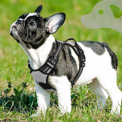 Eagloo Dog Harness Small Sized Dog, No Pull Service Vest with Reflective Strips and Control Handle, Adjustable and Comfortable for Walking, No Choke Pet Harness with 2 Metal Rings, Grey, S