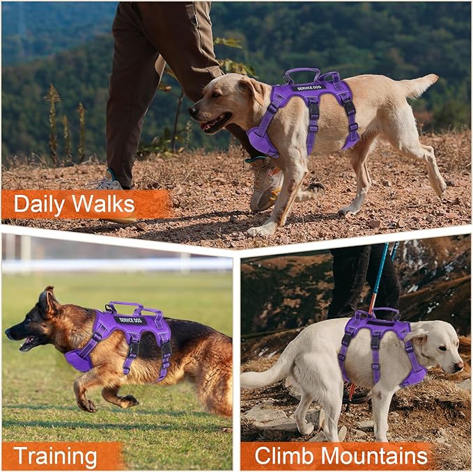 Escape Proof Dog Harness for Large Medium Sized Dogs Six Point Adjustable, Service Dog Vest Harness and Leash Set, No Pull Dogs Harnesses with Handle, Medium Dog Harnesses for Walking(Purple, S)