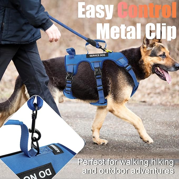 Escape Proof Dog Harness for Large Medium Sized Dogs Six Point Adjustable, Service Dog Vest Harness and Leash Set, No Pull Dogs Harnesses with Handle, Medium Dog Harnesses for Walking(Blue, S)