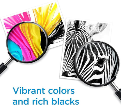 HP 64 Black Ink Cartridge | Works with Envy Inspire 7250e, 7950e, Envy Photo 6200, 7100, 7200, 7800, 7900, Tango Series | Eligible for Instant Ink | N9J90AN