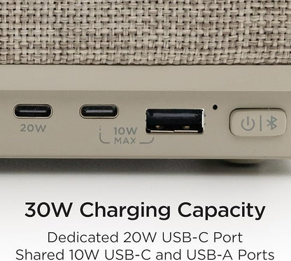 iHome PowerPlant Charging Station with Bluetooth Speaker, Faux Succulent with USB Charging Station for iPhone, Android, and More (iPP60)