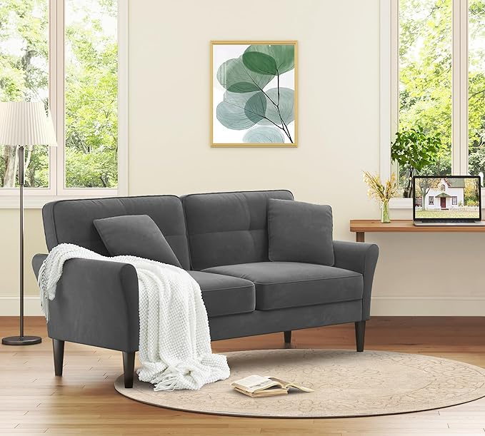 69" Loveseat Sofa, Velvet Small Couches for Small Spaces, Love Seat Couches with 2 Pillows, Tool-Free Setup Loveseats, 700lb Load Sofas for Living Room, Mini Couch for Bedroom, Sofa Couch, Charcoal