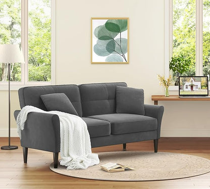 69" Loveseat Sofa, Velvet Small Couches for Small Spaces, Love Seat Couches with 2 Pillows, Tool-Free Setup Loveseats, 700lb Load Sofas for Living Room, Mini Couch for Bedroom, Sofa Couch, Charcoal