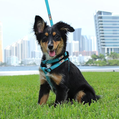 Pawtitas Recycled Reflective Step-in Dog Harness – Adjustable No-Pull Vest for Puppies to Seniors, Safe & Comfortable L Blue