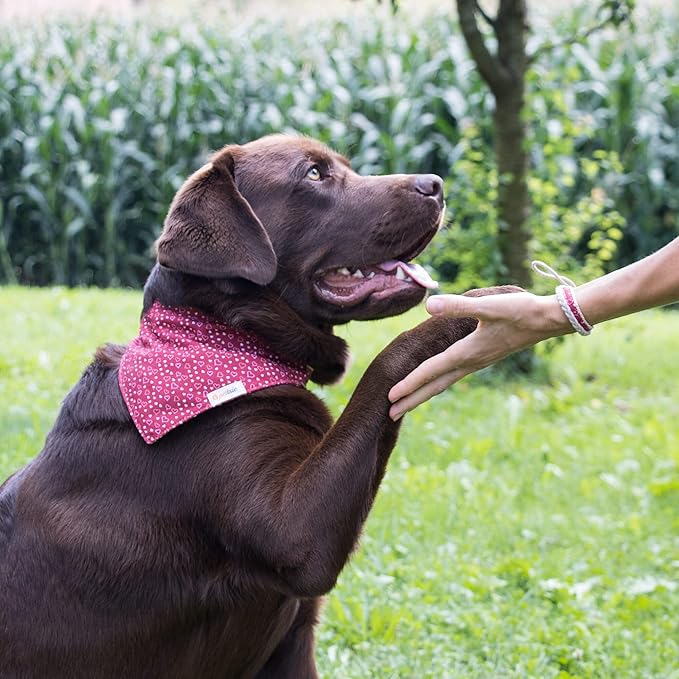Pettsie Adjustable Dog Bandana Collar with Matching Owner Friendship Bracelet – Soft & Durable Hemp, Stylish Removable Scarf for Dogs, Gift-Ready Set for Pet Lovers, Large, Red