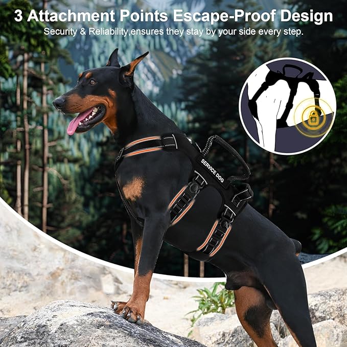 Escape Proof Dog Harness for Large Medium Sized Dogs Six Point Adjustable, Service Dog Vest Harness and Leash Set, No Pull Dogs Harnesses with Handle, XL Dog Harnesses for Walking(Black, L)