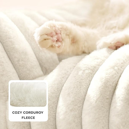 Bedsure Cute Cat Couch for Pets - Fluffy Cat beds with Premium Soft Corduroy Fleece, Fuzzy Cats beds for Indoor Cats with Removable Washable Cover, Supportive Pet Sofa, 24inch, Cream