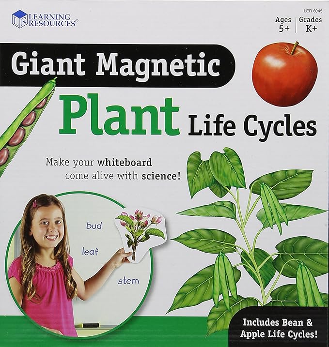 Learning Resources Giant Magnetic Plant Life Cycle - STEM Growing Seed, Montessori Tree , Biology Cards, Classroom Teacher Must Haves Activities, Science Homeschool Essentials, Gifts for Students