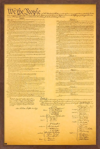 Trends International The Constitution Wall Poster, 14.725" x 22.375", Mahogany Framed Version