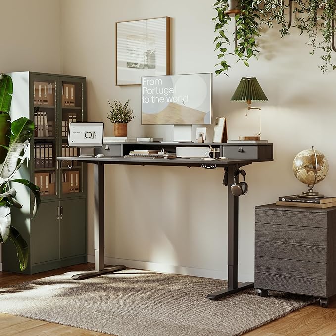 Agilestic 53x 24 Inches Height Adjustable Electric Standing Desk with 2 Drawers, Stand Up Electric Desk Adjustable Height, Sit Stand Computer Gaming Table with Splice Board, Black