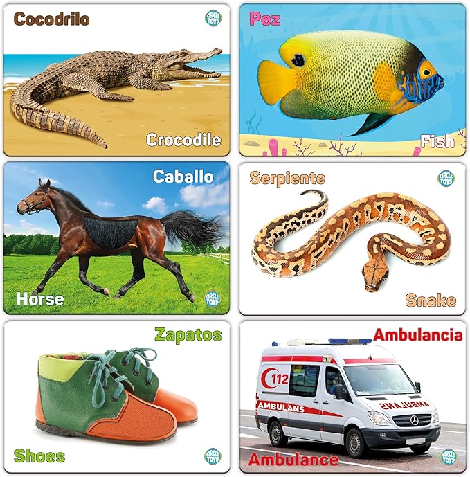 My Touch and Feel English Spanish Bilingual Picture Double Sided Sensory Flash Cards for Infant, Toddlers, Kids, Learn Animals, Fruits, Objects and Vehicles, Fun Learning and Educational Flashcards