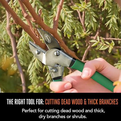 Scotts 2-Piece Pruning Shears Set – Includes 8 in. Bypass Pruner for Live Plants and 8 in. Anvil Pruner for Dry Stems – Sharp Carbon Steel Blades and Comfort Grip Handles for Garden and Yard Use