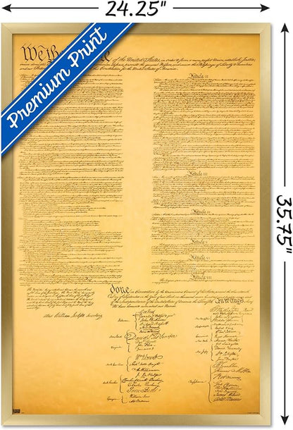 Trends International The Constitution Wall Poster, 22.375" x 34", Gold Framed Version