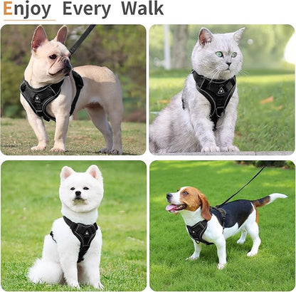 No Pull Dog Harness with Leash Set for Medium Sized Dog, Reflective Adjustable No Choke Front Clip Cat Vest Harness with Breathable Mesh, Comfortable Soft Padded Pet Vest, Black XL