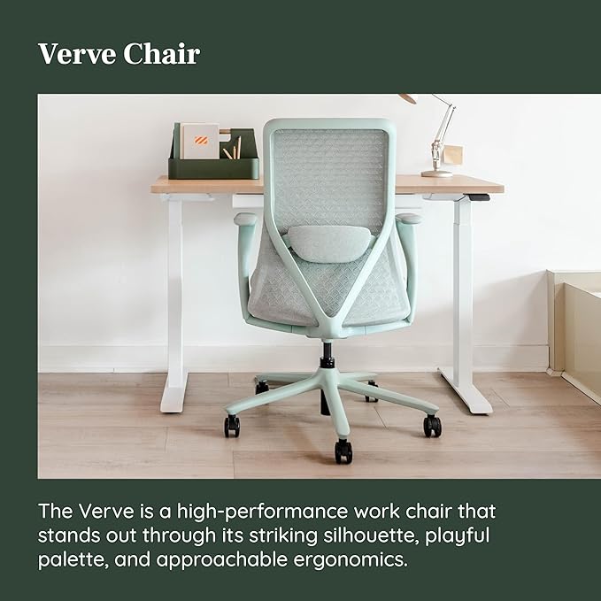 Branch Verve Chair - High Performance Executive Office Chair with Contoured Seat Back and Adjustable Lumbar Rest - High Density Foam Cushion with Aluminum Base - Up to 275 lbs - Mint