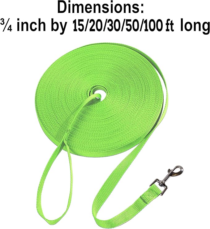 Hi Kiss Dog/Puppy Obedience Recall Training Agility Lead - 15ft 20ft 30ft 50ft 100ft Training Leash - Great for Training, Play, Camping, or Backyard (20 Feet, Green)